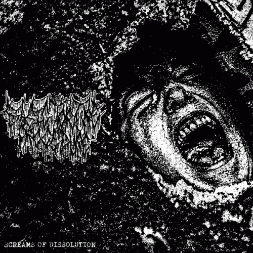 Basic Torture Procedure : Screams of Dissolution Basic Torture Procedure : Screams of Dissolution